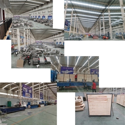 High Productivity Wheat Frozen French Fries Production Line for Potato Processing